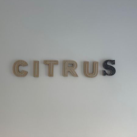 Citrus Suite By Alhaurin Loft City Center Alhaurin de la Torre Luaran gambar